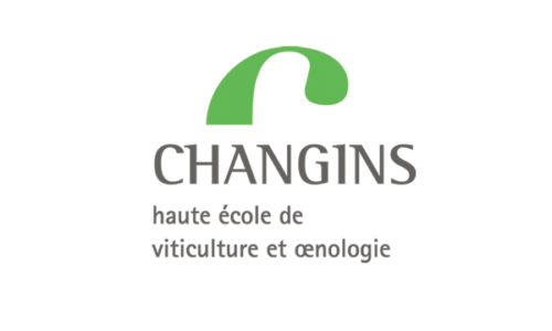 Vins Vaudois dans la restauration : découverte et vente