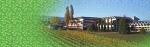 Photo pour les 75 ans de l'école de vin Changins