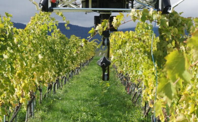 Robot innovant pour les vendanges à Changins