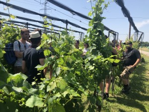 Photo d'un groupe d'étudiants lors d'un cours donné à l'école de vin Changins