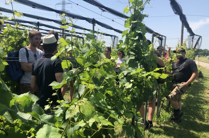 Photo d'un groupe d'étudiants lors d'un cours donné à l'école de vin Changins