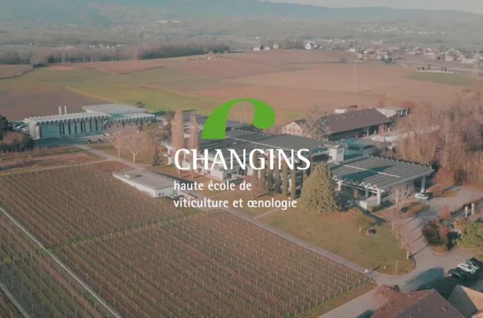 présentation du bachelor HES-so d'œnologie et viticulture de Changins